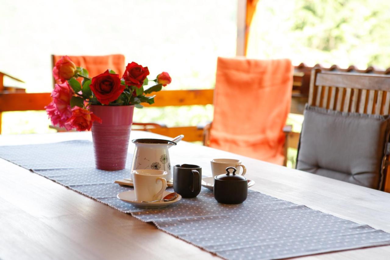 Bomas House Villa Cerkno Ngoại thất bức ảnh